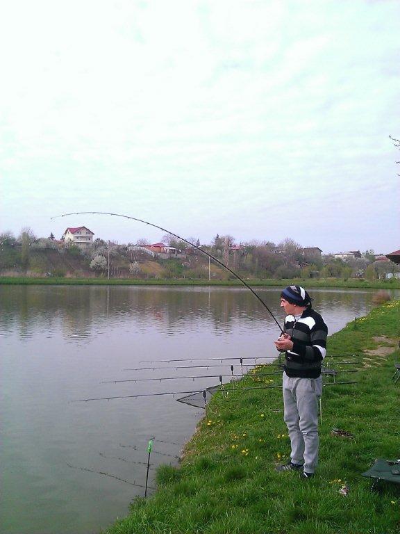 peanut - wp20130420010.jpg